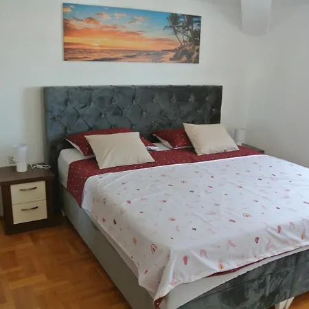Bobi * Zadar